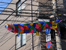 SSC_1548.JPG