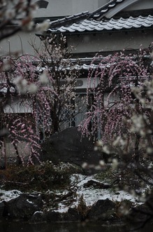 DSC_0785.JPG