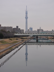 SSC_0553.JPG