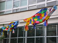 SSC_2196.JPG