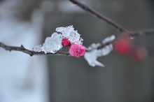 DSC_5704.JPG